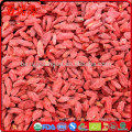 Combien sont les nutriments de baies de goji gogy berry dans les baies de goji